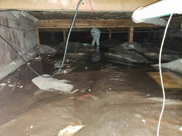 Professional Water damage restoration in Ferndale, CA